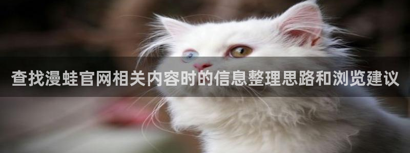 漫蛙漫画悬疑漫画:查找漫蛙官网相关内容时的信息整理思路和浏览建议
