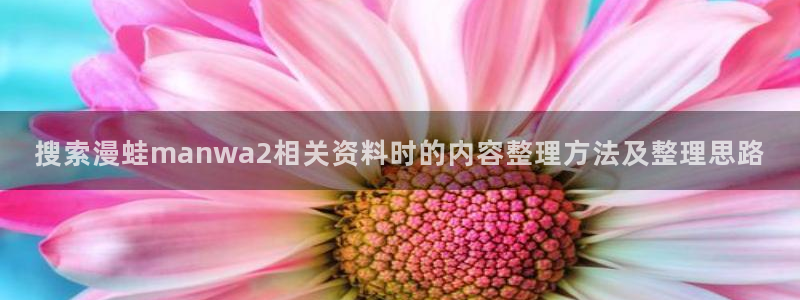 漫蛙漫画漫画分类导航:搜索漫蛙manwa2相关资料时的内容整理方法及整理思路